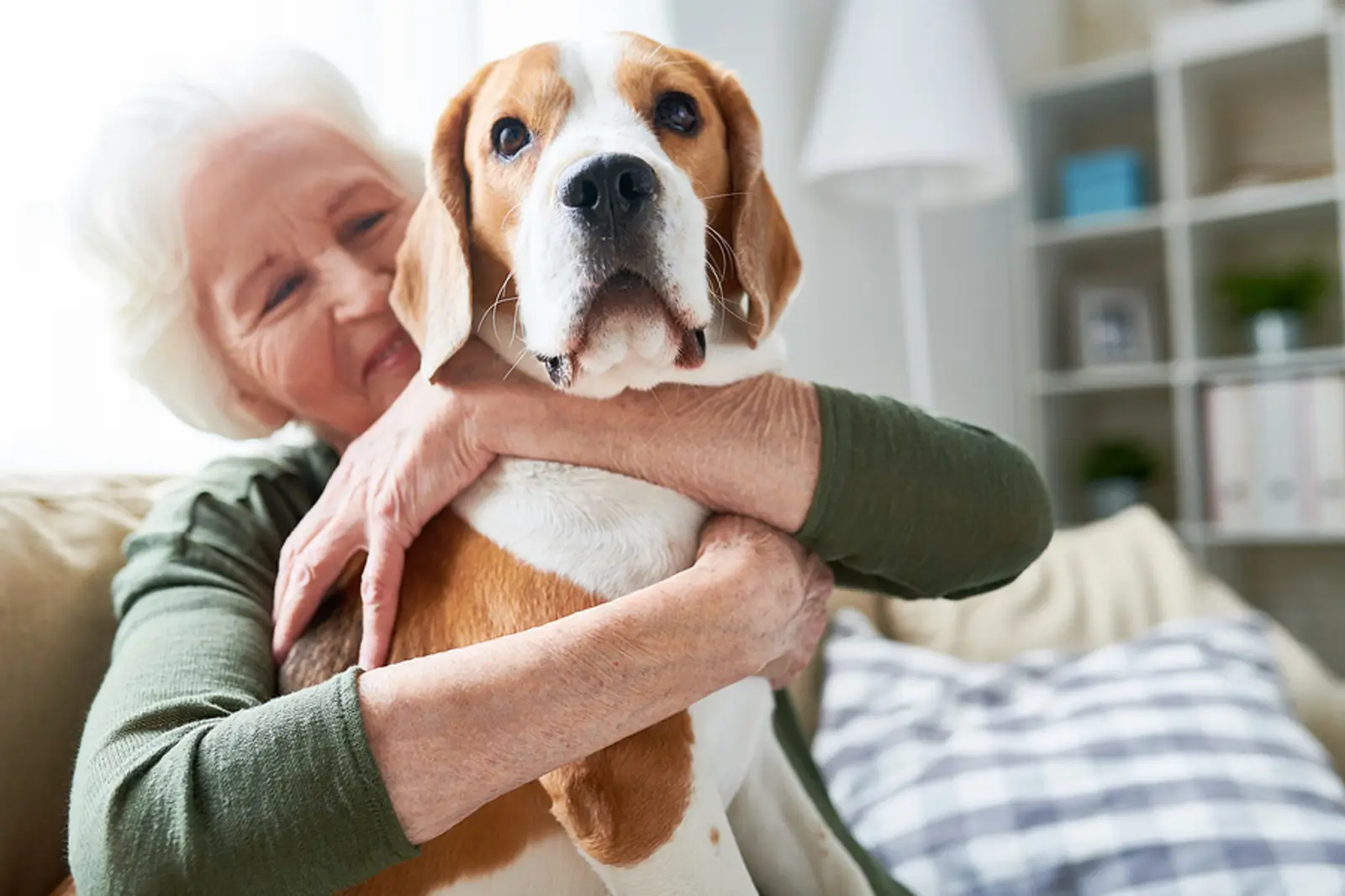 Renting to Pet Owners in Denton: How to Make It Work Without Risking Your Property